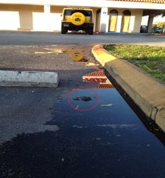 Side of a street with a water and a raised asphalt