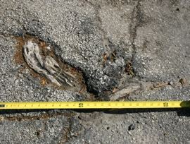 elevated asphalt caused by the root of a tree